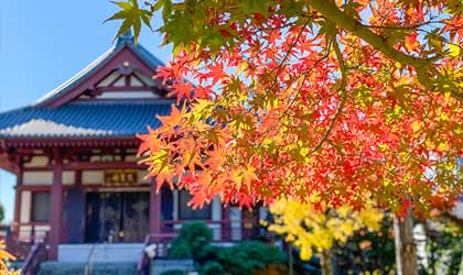 お知らせの背景